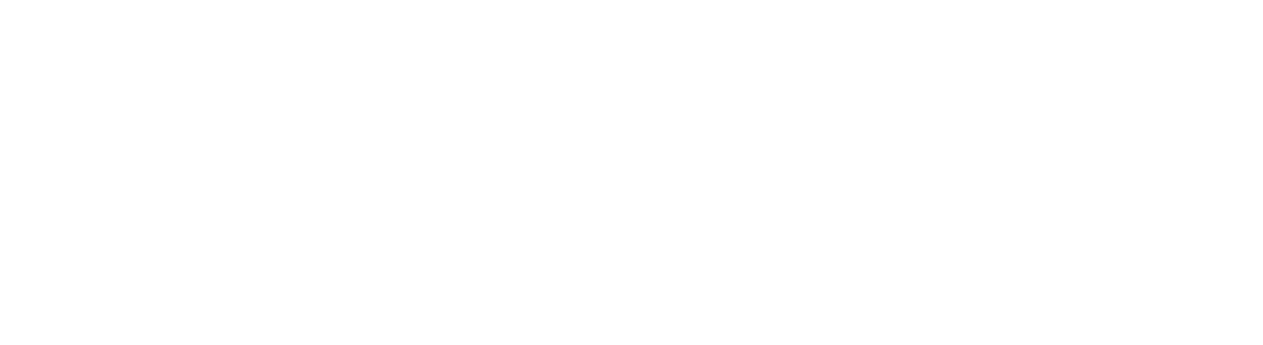 logo UNMSM